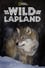 Wild Lapland photo