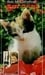 Rue McClanahan: The Cat Care Video Guide photo