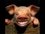 4c3T Avatar