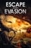Escape and Evasion photo