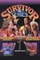 WWE Survivor Series 1992 photo