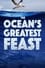 The Ocean’s Greatest Feast photo