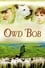 Owd Bob photo