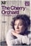 National Theatre Live: The Cherry Orchard photo