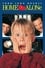 Home Alone photo