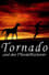 Tornado and the Kalahari Horse Whisperer photo