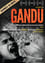 Gandu photo