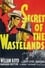 Secrets of the Wastelands photo