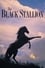 The Black Stallion photo