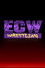 ECW on TNN