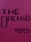 The Orchid photo