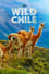 Wild Chile photo