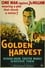 Golden Harvest photo