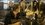 Aflevering 5