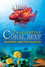 Fascination Coral Reef: Hunters and the Hunted photo