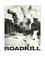 Roadkill photo