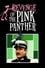 Revenge of the Pink Panther photo