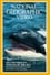 Killer Whales: Wolves of the Sea photo