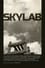 Skylab photo