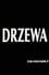 Drzewa photo