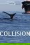 Collision