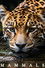 Mammals