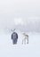 Wonder World of Ice photo