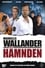 Wallander 14 - Hämnden photo