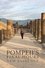 Pompeii's Final Hours: New Evidence photo