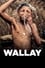 Wallay photo