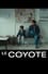 The Coyote photo