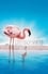 The Crimson Wing: Mystery of the Flamingos photo