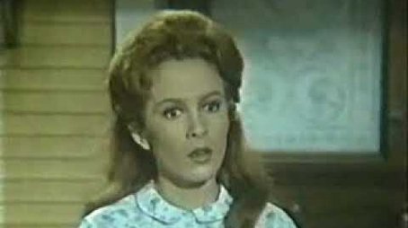 A House Divided (1967) - Episode 31 poster and promotional image