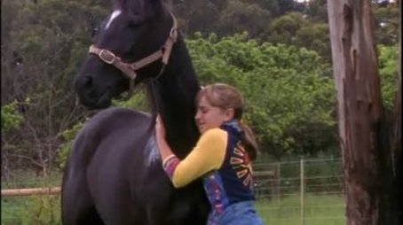 Found Horse (1) (2001) - Episode 18 poster and promotional image