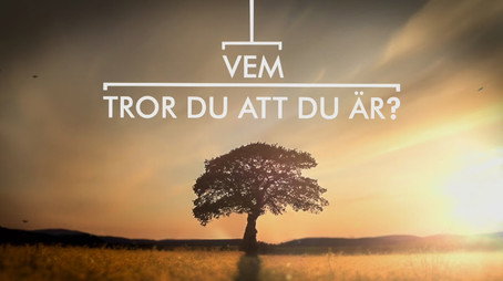 Vem tror du att du är? Сезон 9