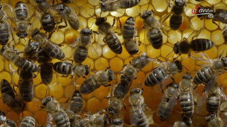 Episode 186 (2015) - Episode 186 poster and promotional image