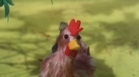 Pat and the Magpie Hen (1981) - Episode 2 poster and promotional image