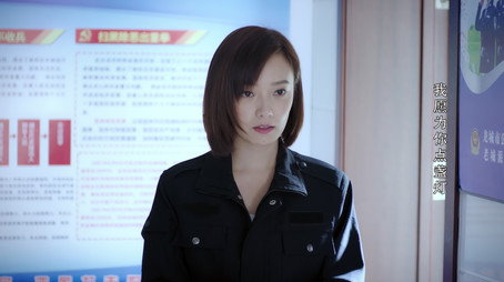 民警老林的幸福生活 Stagione 1