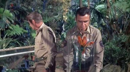 Terror (1967) - Episode 10 poster and promotional image