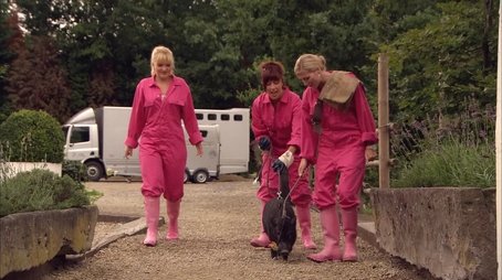 Niet slecht! Voor een paardensnul.. (2010) - Episode 19 poster and promotional image
