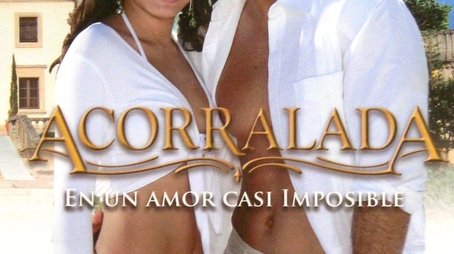 Acorralada (2007) poster