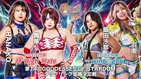 Stardom Goddesses of Stardom Tag League 2024 ~ Final in Hamamatsu (2024) - Episode 119 poster and promotional image