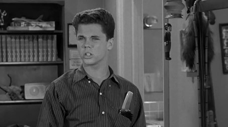 Wally's Test (1960) - Episode 17 poster and promotional image