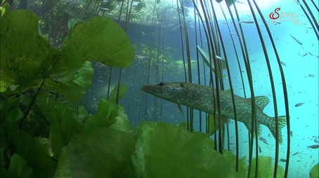 Episode 152 (2014) - Episode 152 poster and promotional image