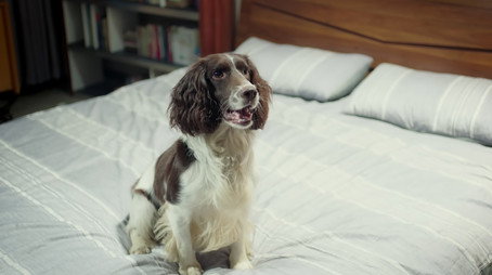 民警老林的幸福生活 Stagione 1