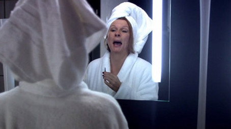 The Life and Times of Vivienne Vyle Сезон 1