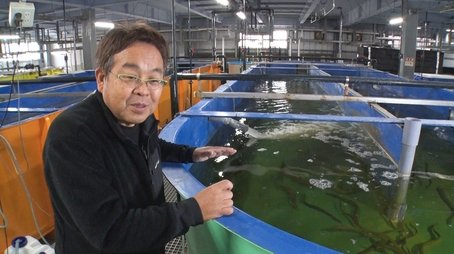 Sustainable Fisheries through Advances in Aquaculture: Aquaculture Innovator - Yamamoto Toshimasa (2022) - Episode 3 poster and promotional image