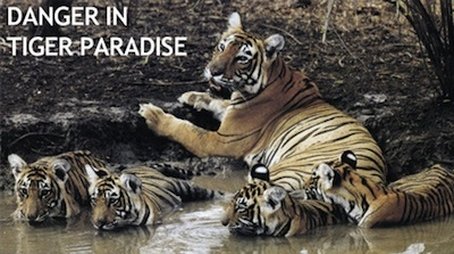 Danger in Tiger Paradise (2002) - Episode 2 poster and promotional image