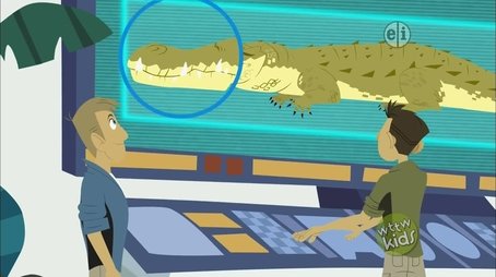 Crocogator Contest (2014) - Episode 11 poster and promotional image