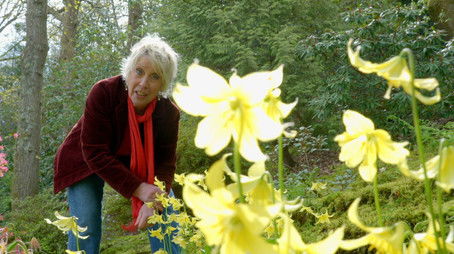 Episode 5 (None) - Episode 5 poster and promotional image